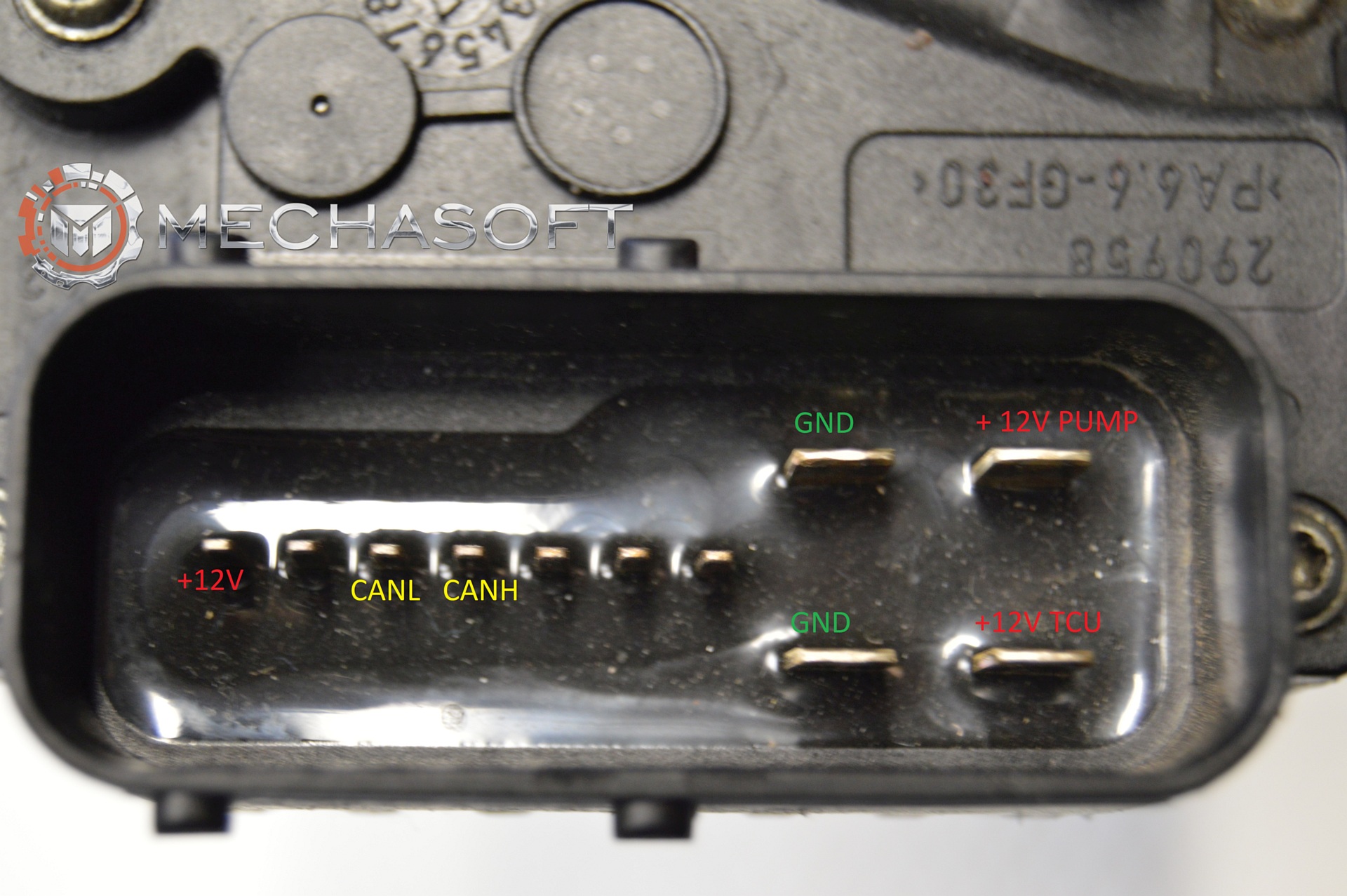 Generation 1 Image