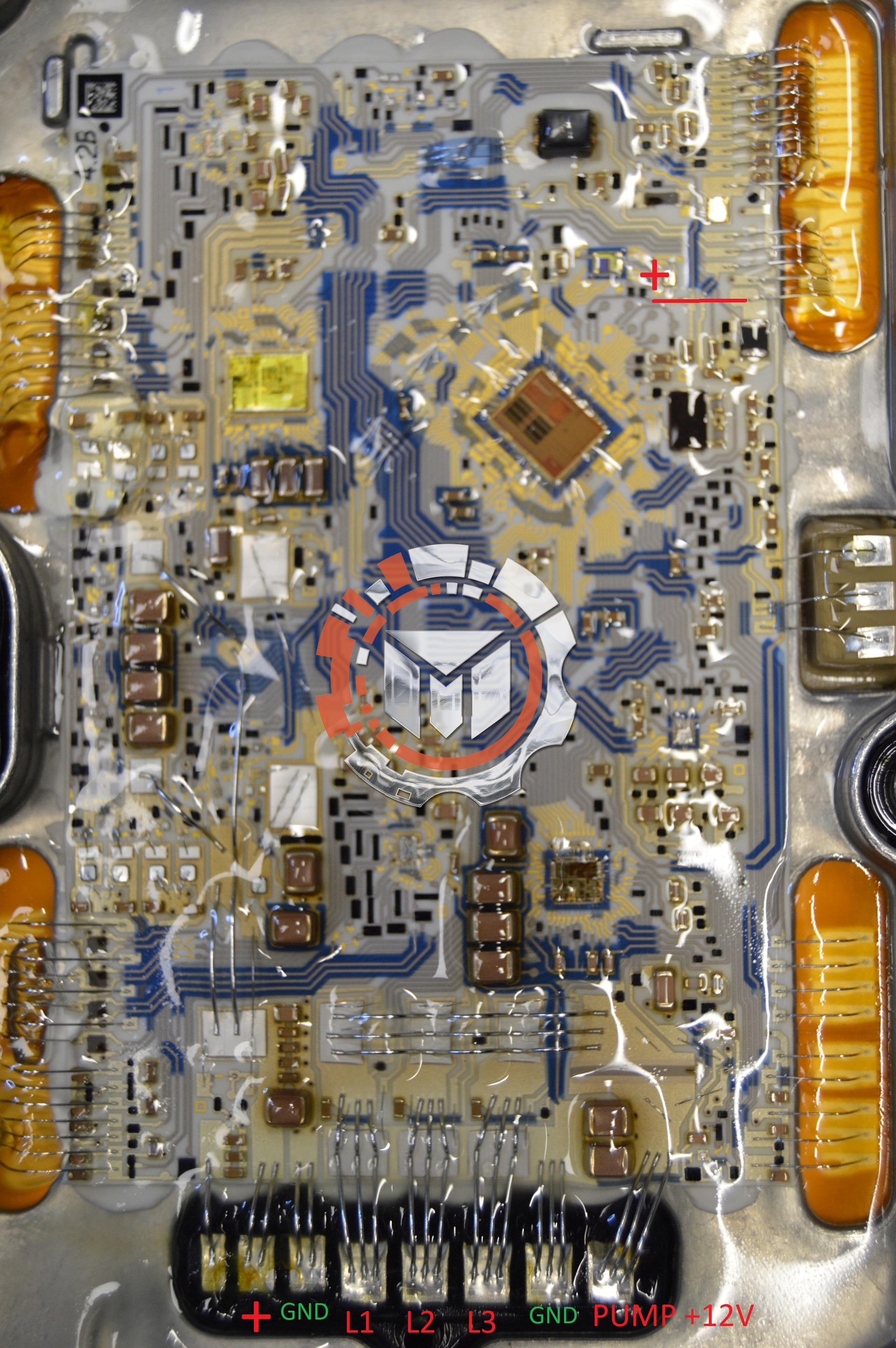 Generation 1 Image